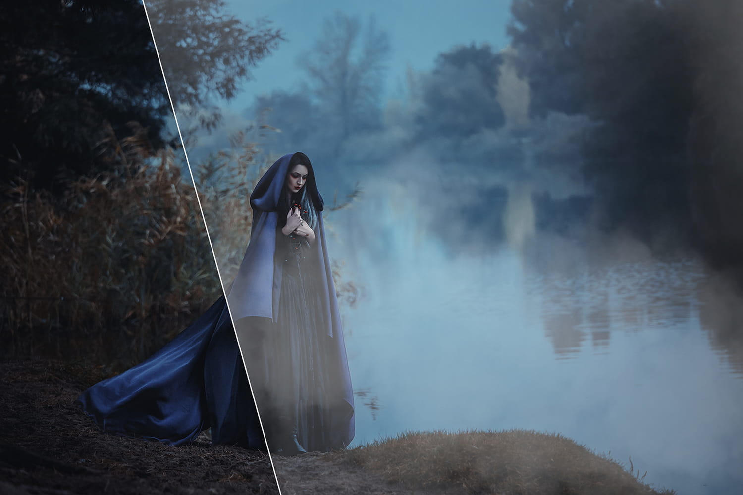 50 Realistic Fog Photo Overlays