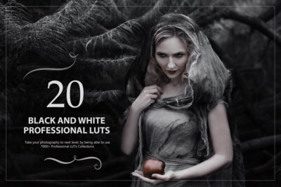 20_Black_and_White_LUTs_Pack